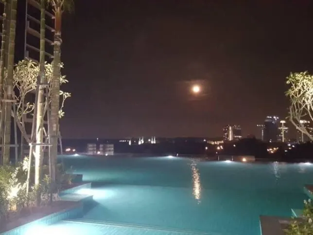 Grand Medini infinity-edge pool at night, photo